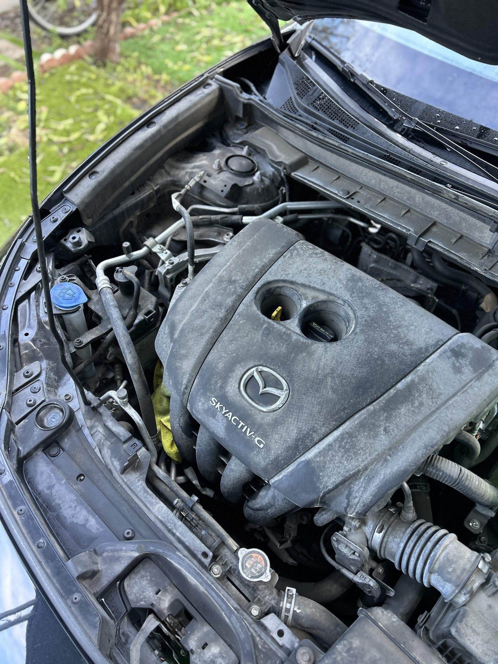 Engine Bay Before Cleaning