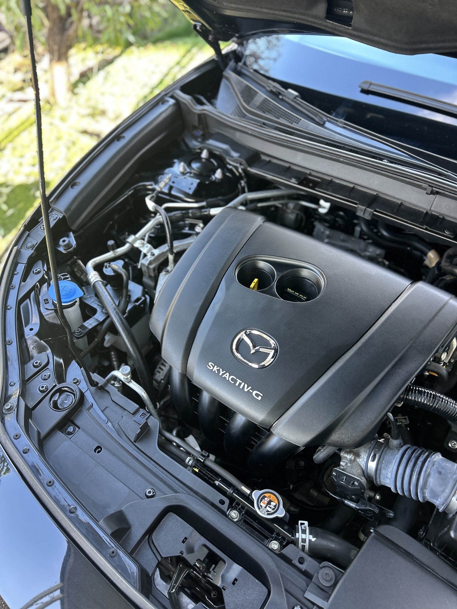 Engine Bay After Cleaning