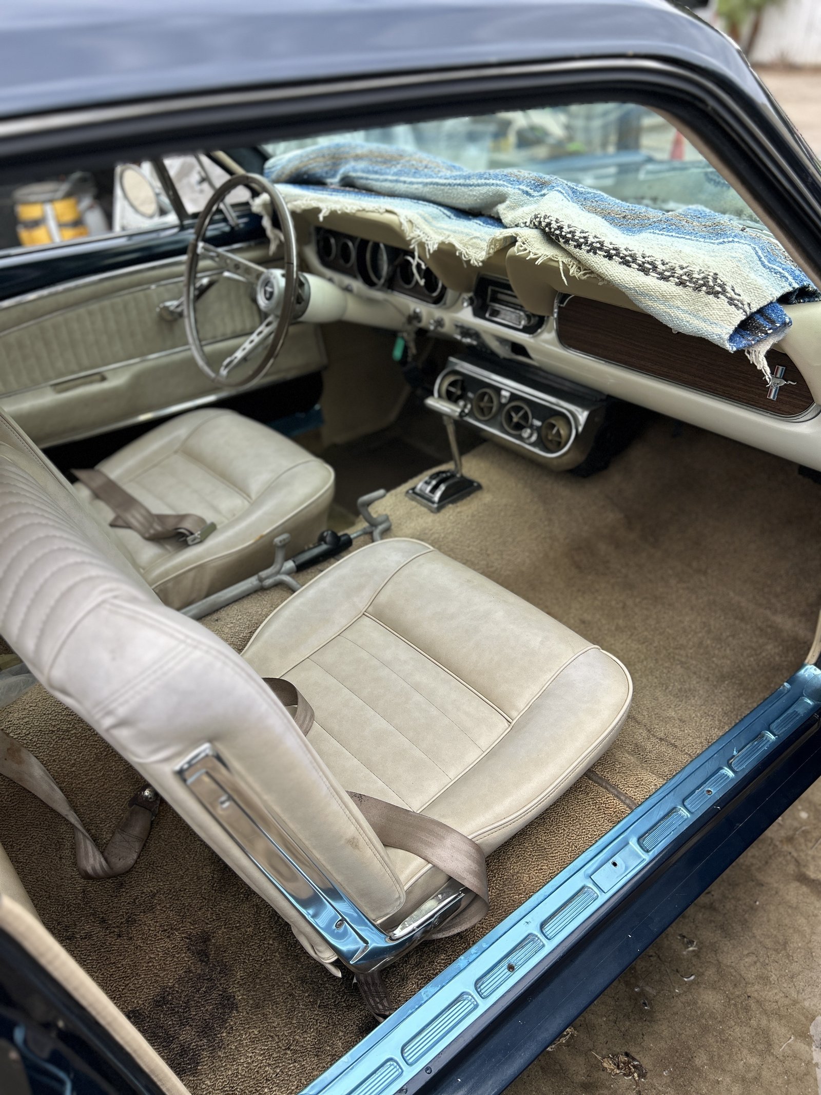 Pet hair removal from cloth seats in a vintage blue car interior
